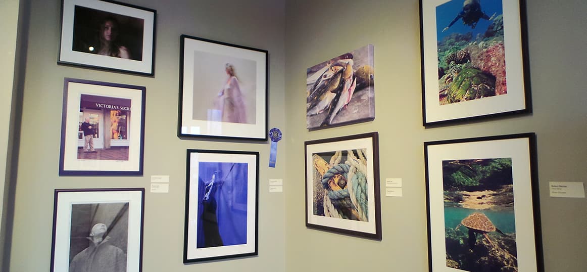 Photographers' Guild Members' Exhibition Newport Art Museum Newport